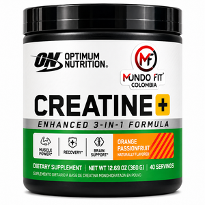 Creatine+ Optimum Nutrition – 40 Servicios